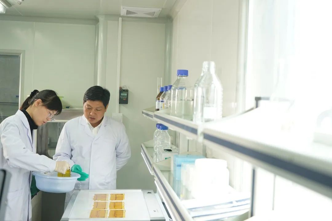 圖片2.png 圖片2.png