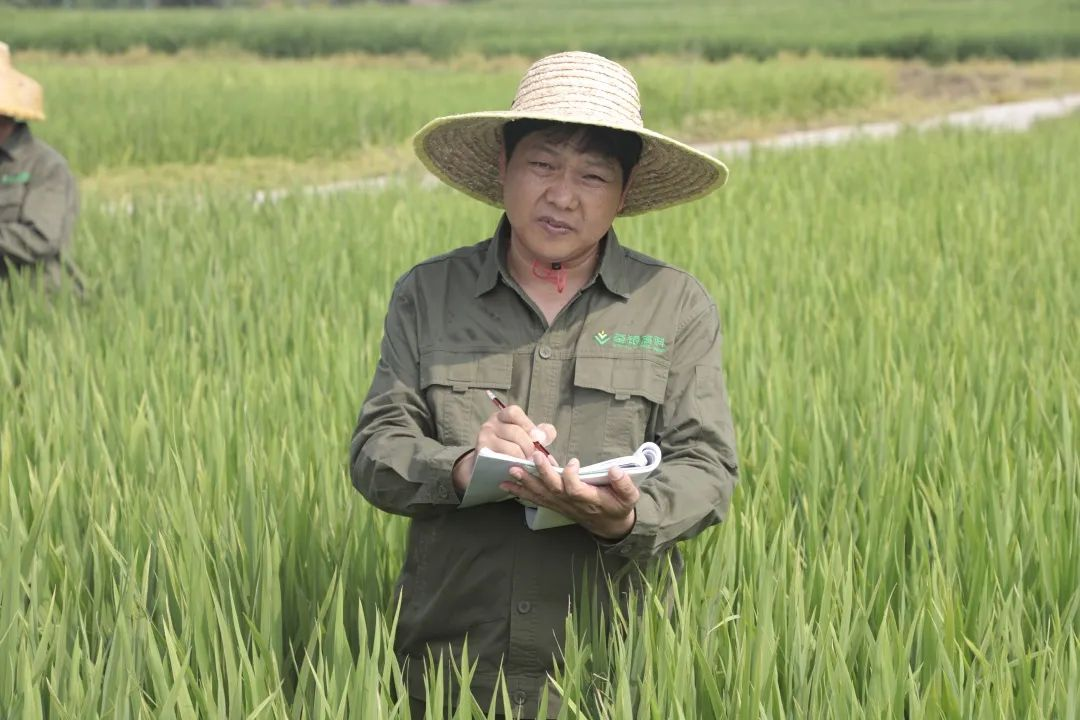 圖片1.png 圖片1.png