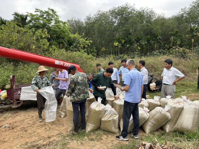 圖片4.png 圖片4.png